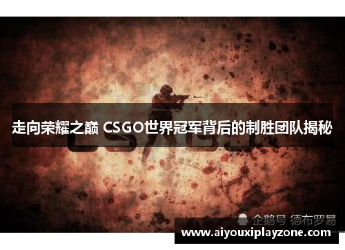 走向荣耀之巅 CSGO世界冠军背后的制胜团队揭秘