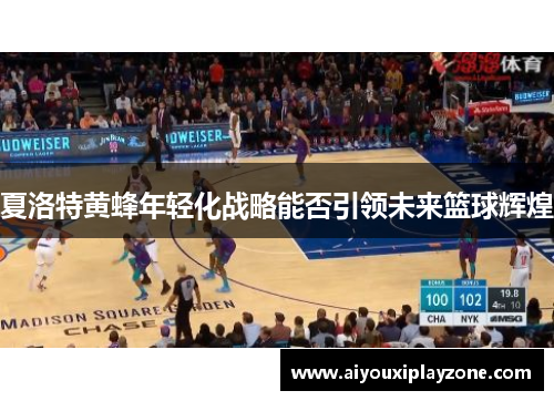 夏洛特黄蜂年轻化战略能否引领未来篮球辉煌